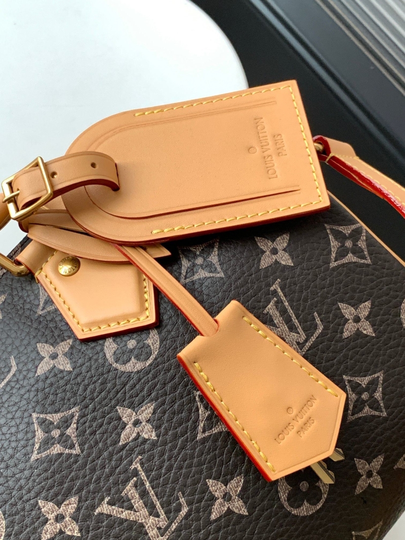 LV Speedy Bags